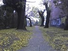 Picture for song 'I feel love' by artist 'Ascden'