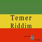 Picture for song 'TEMER RIDDIM' by artist 'Bahatawi Records'
