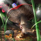 Picture for song 'tapestry of air' by artist 'balthazaar'