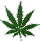 Picture for song 'instrumental of sras *drug dealer*' by artist 'Beat Of Sras'