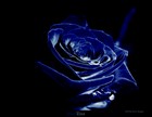 Picture for song 'Mystique' by artist 'BeeZee'