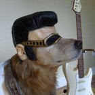 Picture for song 'WEEK~END COWBOY ~ Bella & Music Boy ..3:46 Demo' by artist 'Bella and Music Boy'