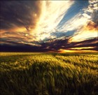 Picture for song 'Fresh Meadows' by artist 'Beonkey Beats'