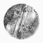 Picture for song 'Past Tenses' by artist 'Big Nuts Inc.'