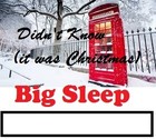 Picture for song 'Didn't Know (It was Christmas)' by artist 'BIG SLEEP'