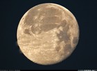 Picture for song 'MIDNIGHT LADY' by artist 'billy flack'