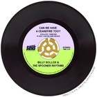 Picture for song 'Playground Bully' by artist 'Billy Sollox and The Spooner Rhythms'