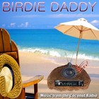 Picture for song 'Electronic Seagulls in a Pixel Sky' by artist 'Birdie Daddy'