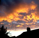 Picture for song 'I'm In Love With You (demo)' by artist 'Bispatial'