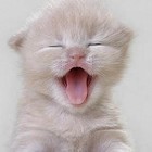 Picture for song 'LOL' by artist 'Blaydeman'