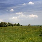 Picture for song 'Open spaces (2010 remix)' by artist 'Blazius'