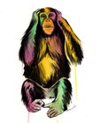 Picture for song 'I Ain't Hearin' it (No Hook) *Twerk* (Free D/L)' by artist 'Blingstef'