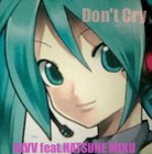 Picture for song 'Don't Cry(BLVV feat.HATSUNE MIKU)' by artist 'BLVV'