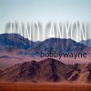 Picture for song 'Grand Canyon' by artist 'bobbywayne'