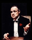 Picture for song 'I am the Don' by artist 'Bombsquad TBS'