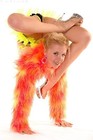 Picture for song 'Posing' by artist 'Brad Shapiro'