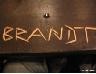 Picture for song '17-10-06 terminaal geestesziek' by artist 'Brandt'