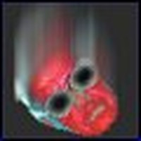 Picture for song 'falling man' by artist 'Brandy of the Damned'