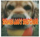 Picture for song 'The Psychedelic Cowby Pt II' by artist 'Bruce Lee's Brother'