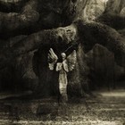 Picture for song 'Fallin To The Rain' by artist 'Burden Of Solitude'