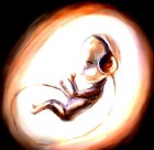 Picture for song 'Eyes of the Liar Demo Version' by artist 'Burn1 Last Time'