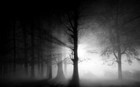 Picture for song 'Chaotic Melody - Black Fog *HIP HOP*' by artist 'Chaotic Melody'