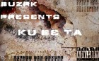 Picture for song 'Platinum Kettles prod. by Life & Death Productions' by artist 'Buzrk'