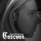 Picture for song 'Never Disrupt' by artist 'Cadogan'