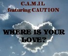 Picture for song 'Your Love For Me ft CAUTION' by artist 'CAMIL'