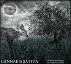 Picture for song 'Sappy / Breed' by artist 'Cannabis Sativa'