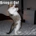 Picture for song 'Bring It On' by artist 'Capo aka iHop Borders'