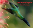 Picture for song 'Nest Intruder' by artist 'Carlo Celuque'