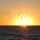 Picture for song 'Over the Ocean...' by artist 'Case 211'