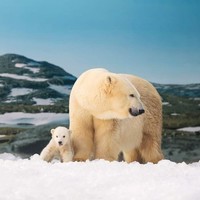 Picture for song 'Bigger than an Ocean' by artist 'CC51'