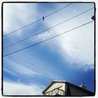 Picture for song 'gaining..mp3' by artist 'Chelsea Lamb'