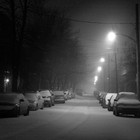 Picture for song 'Urban Jungle' by artist 'Chewelski'