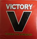 Picture for song 'The Victory' by artist 'CHOICE BEATS'