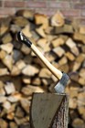 Picture for song 'Chopped Wood' by artist 'Chopped Wood Band'