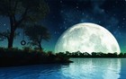 cover pic