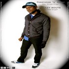 Picture for song 'Crazy Route' by artist 'Christopher IQ Moore'