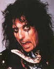 Picture for song 'A Bit of Alice Cooper!' by artist 'Chris White (UK)'
