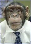 Picture for song 'Monkey Face' by artist 'cinnabar'