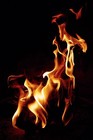 Picture for song 'Dynamic Flame' by artist 'Cocktail sounds Project'