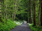 Picture for song 'ON MY WAY' by artist 'COLIN'S POETRY IN SONG'