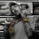 Picture for song '*NEW* Birdies' by artist 'Craig Maru'