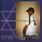 Picture for song 'Better Off' by artist 'Cris Cameo'