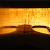 Picture for song 'Paramural' by artist 'dandck'