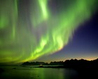 Picture for song '**ELECTRONICA** TIMBO TYPE FREE BEAT' by artist 'DANGEROUS PRODUCTION'