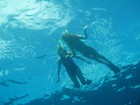 Picture for song 'Clear Ocean' by artist 'DanielScenery'