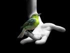 Picture for song 'Live Free' by artist 'Dave Fisher'